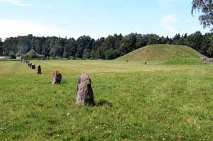 Stenarna som kantar Eriksgatan. med Anundshögen i bakgrunden, sommar.
