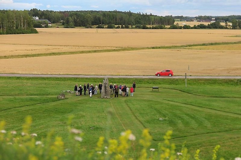 En grupp människor vid en guidad tur runt Anundshög. Foto: Antti Korhonen